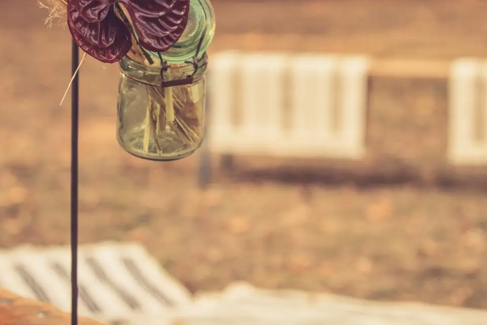 Entre vous et Yo — photo 3