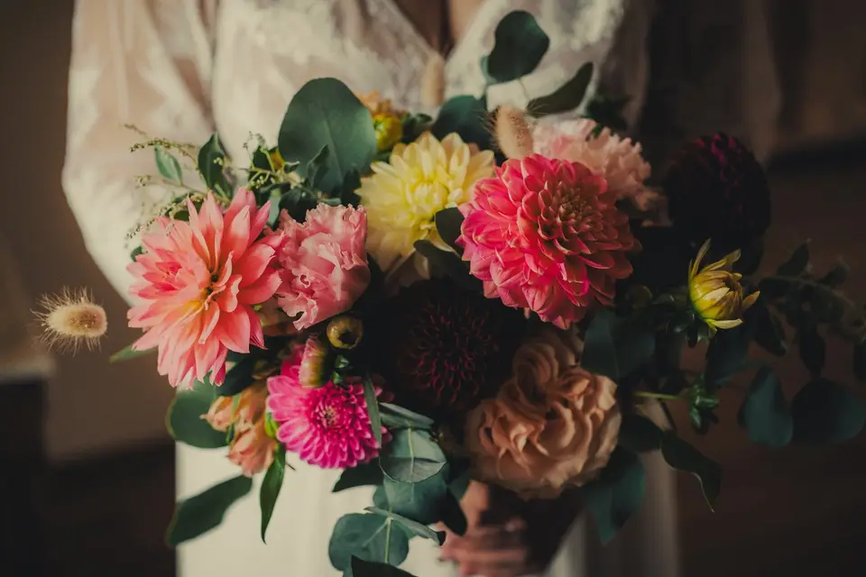 Les Herbes Folles — photo 1