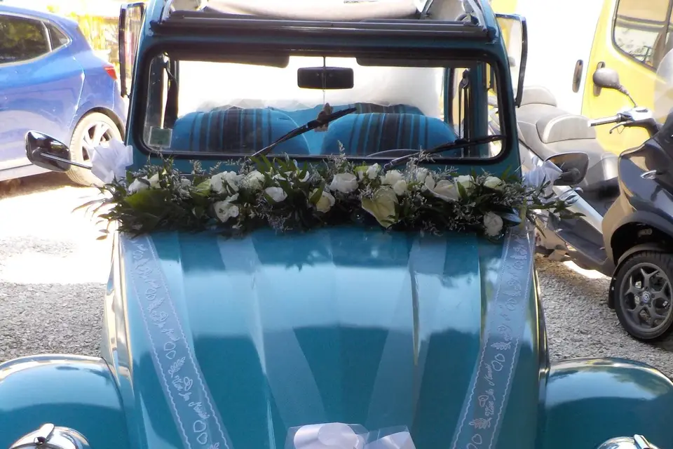 Herve Mascarte — photo 3