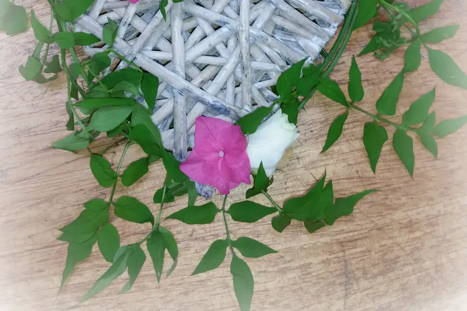 A vos fleurs — photo 6