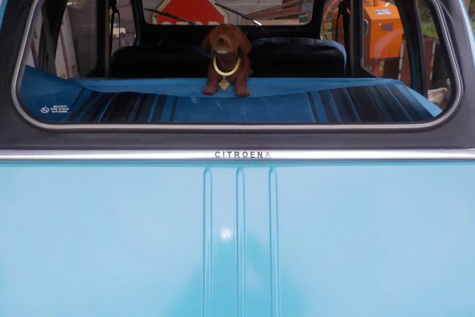 Herve Mascarte — photo 5