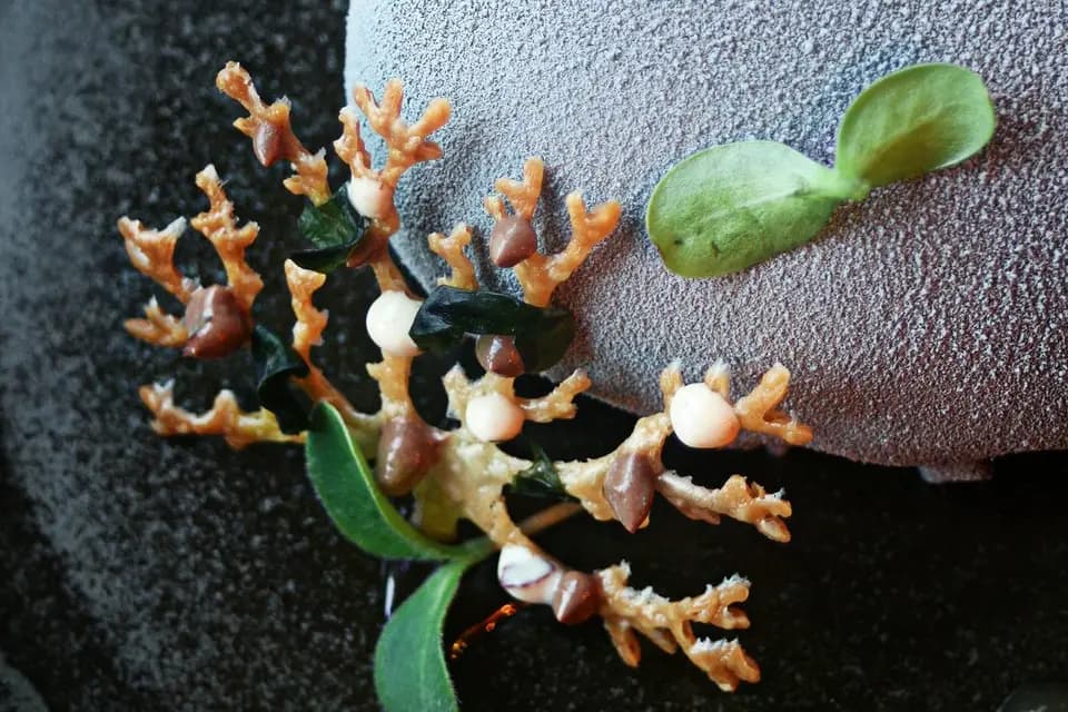 Plantae cuisine végétale x Ajna — photo 4