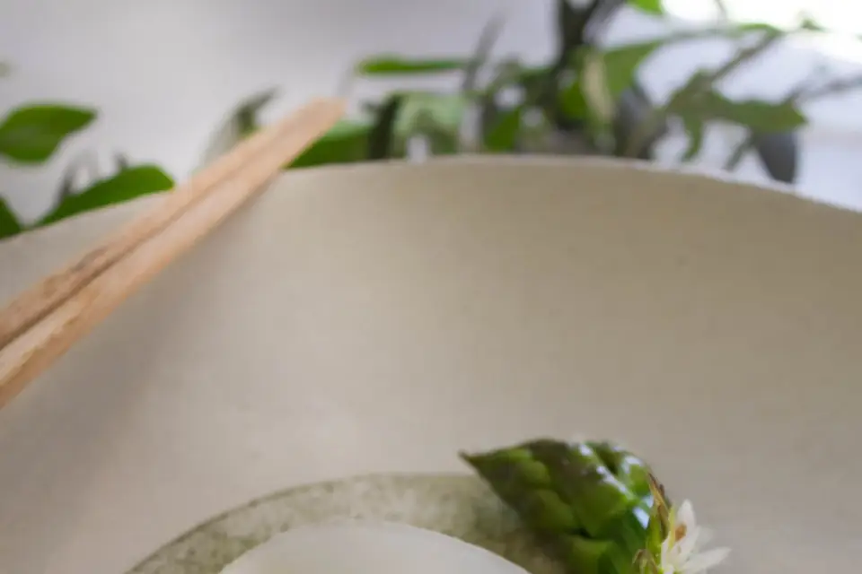 Plantae cuisine végétale x Ajna — photo 5