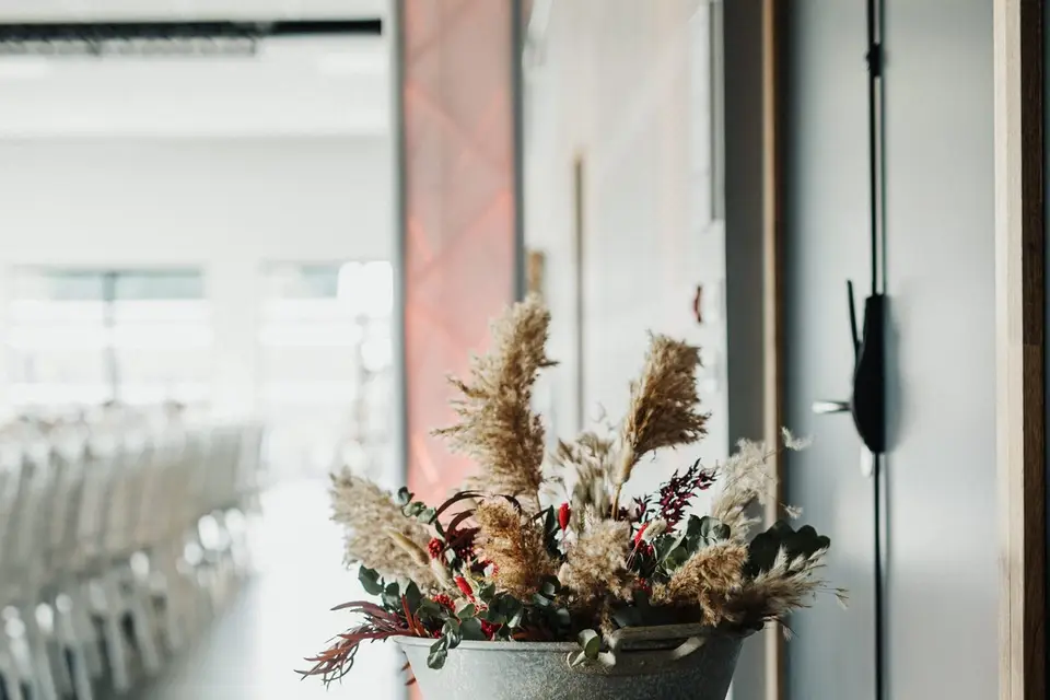 Mimosa & tralala — photo 8