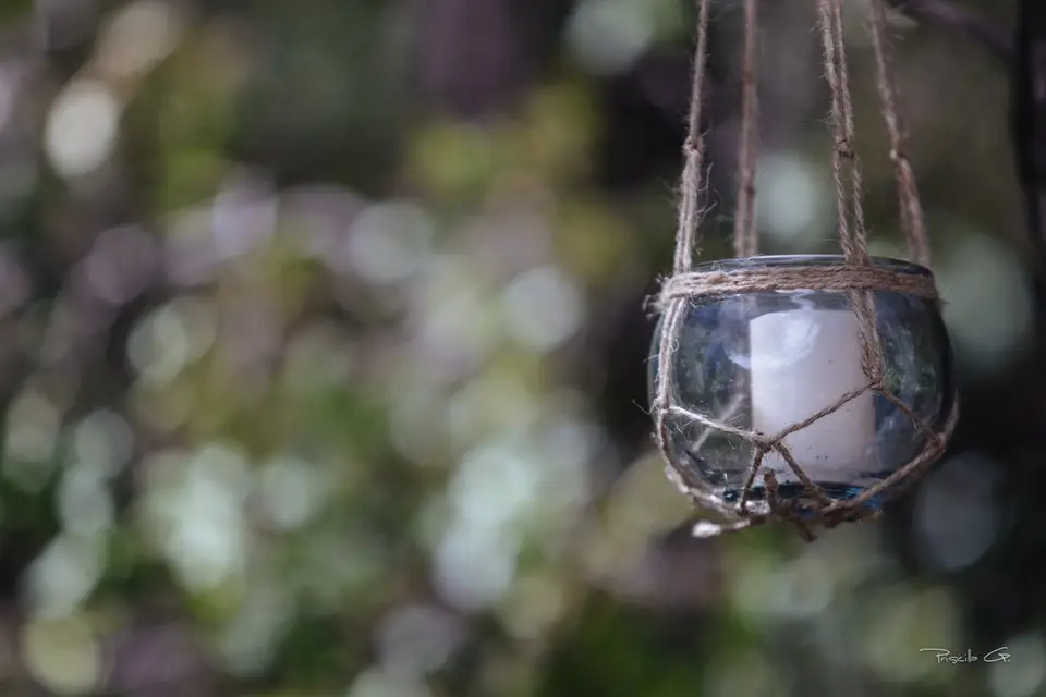 Célia Boccard — photo 7