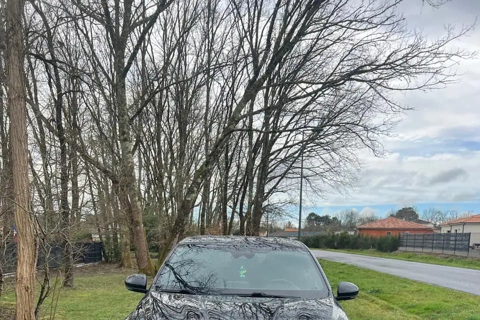 Aigle Royal — photo 7