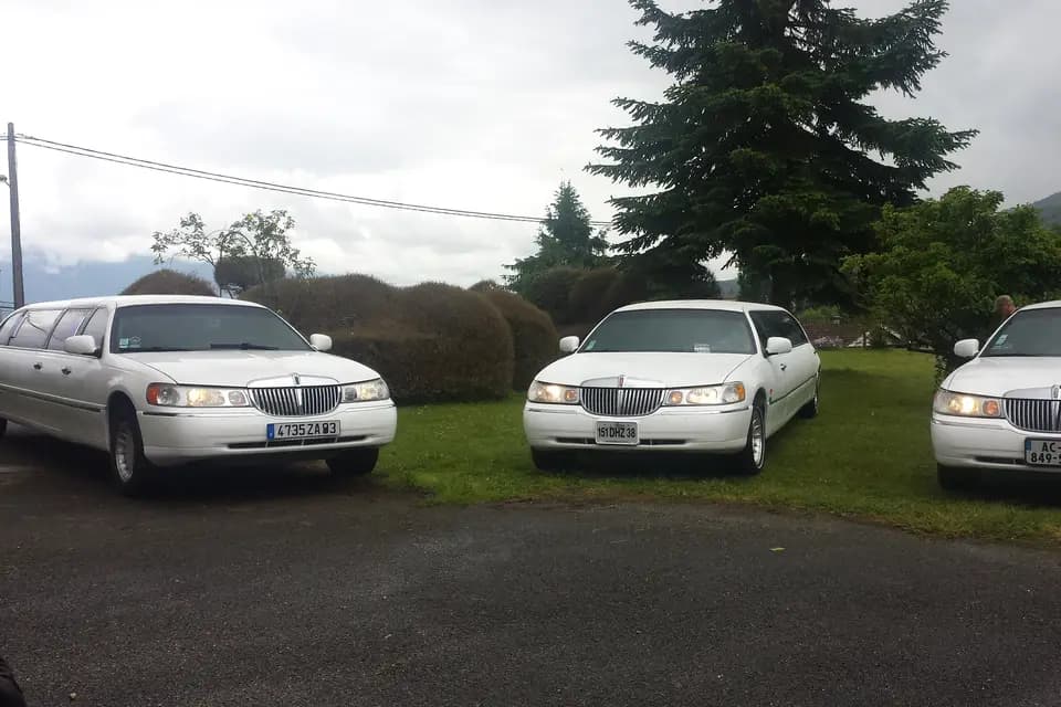 Eternity Limousine — photo 2