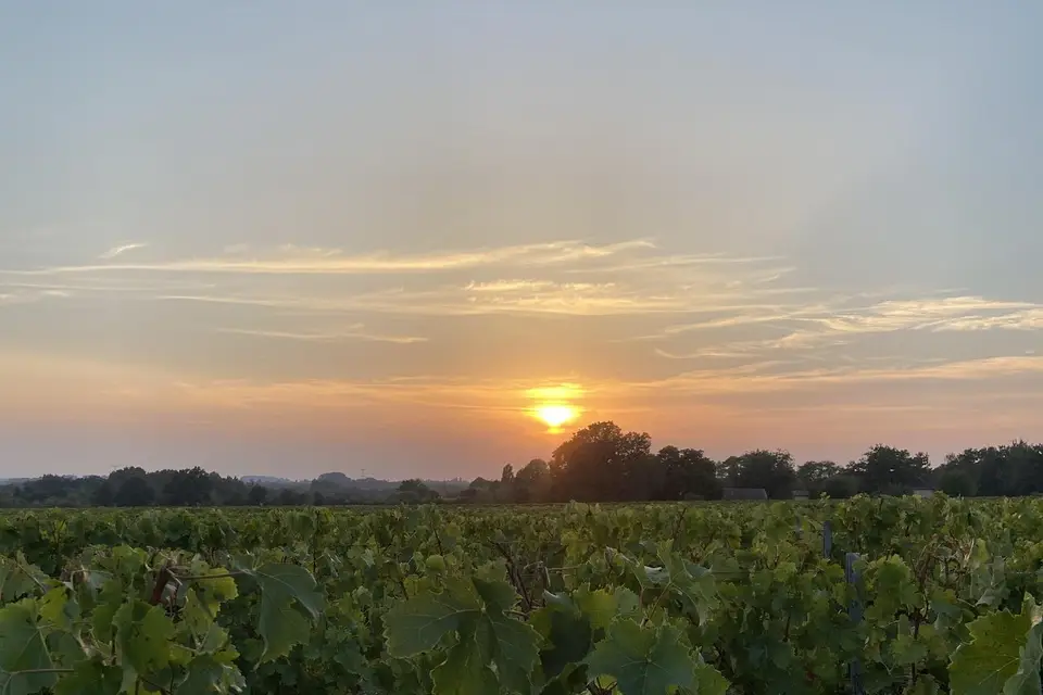 Domaine du Rouyet — photo 3