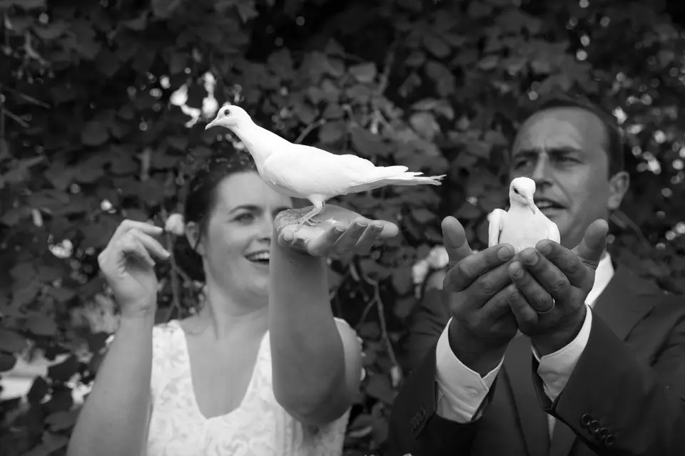 BellesProd — photo 1