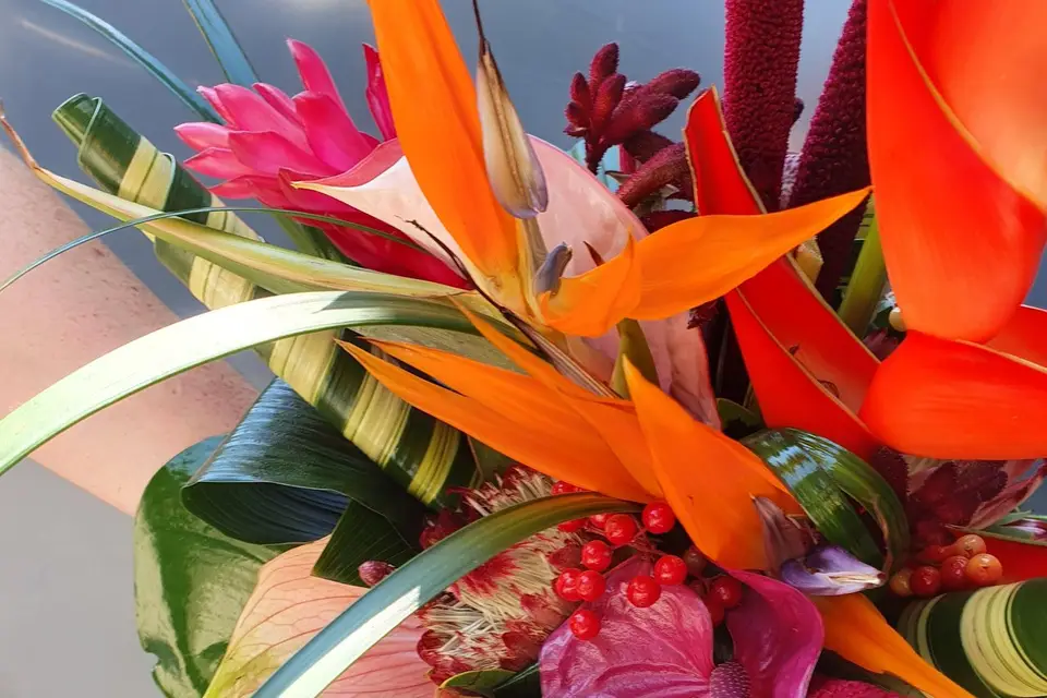 Claudie Fleurs — photo 5