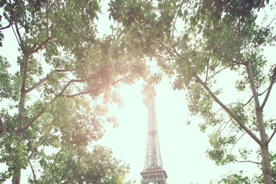 Studio L — photo 3