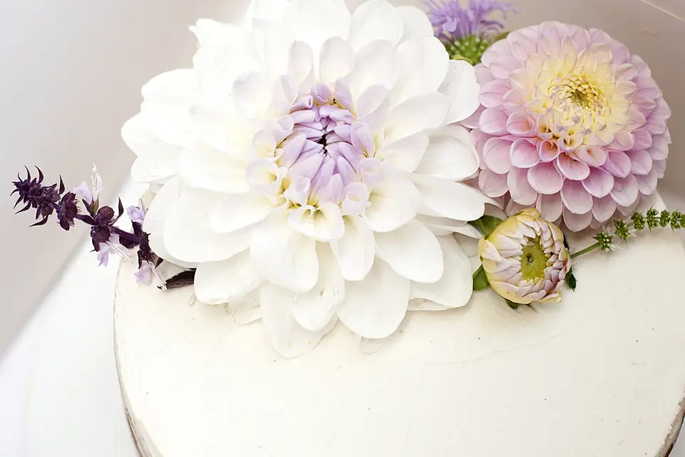 A la fraiche - cuisine végétale — photo 4