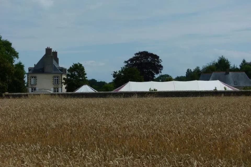 Bambou Anjou Réception — photo 4