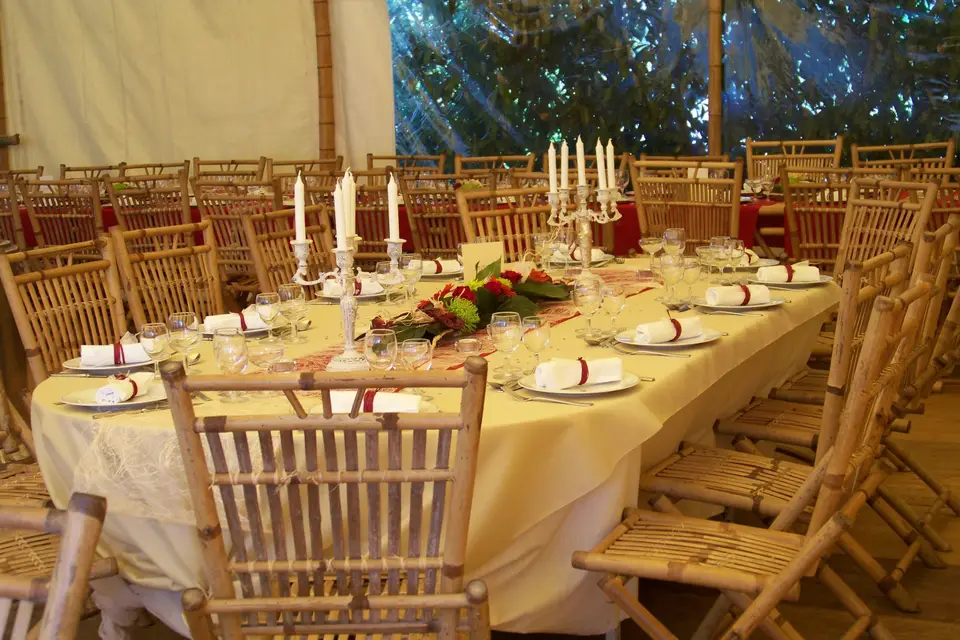 Bambou Anjou Réception — photo 8