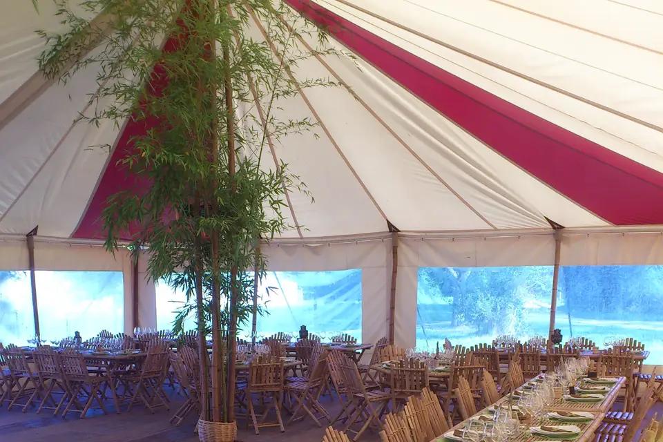 Bambou Anjou Réception — photo 7