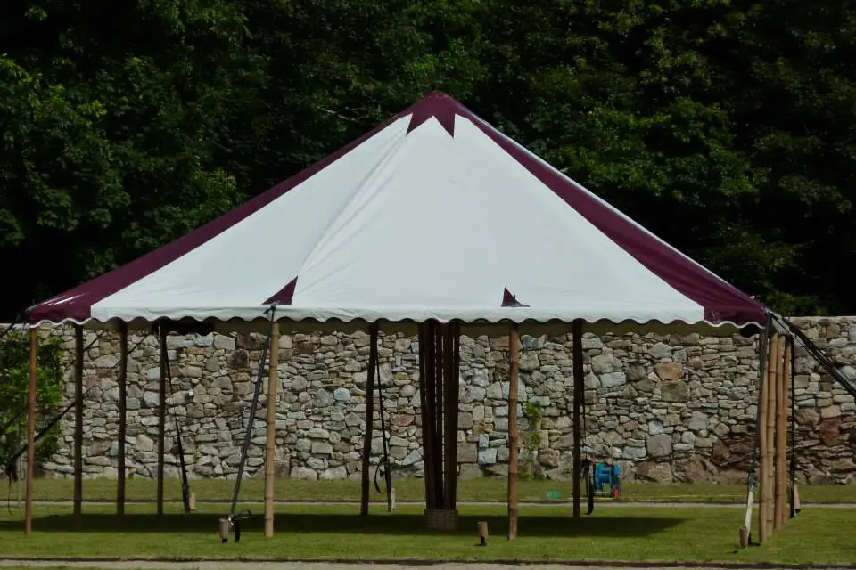 Bambou Anjou Réception — photo 2