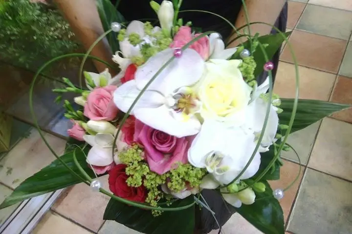 Aux Iris — photo 2