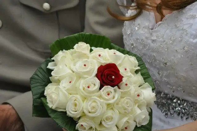 Aux Iris — photo 3