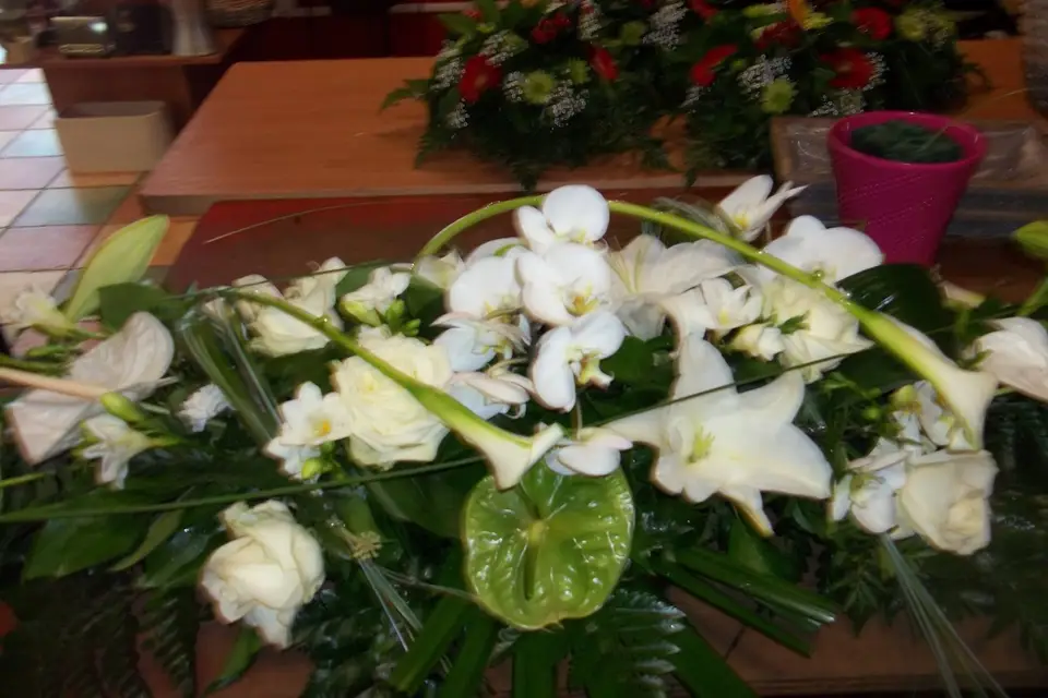 Aux Iris — photo 1