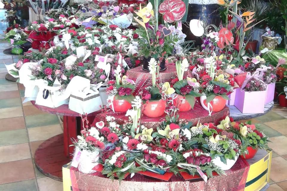 Aux Iris — photo 6