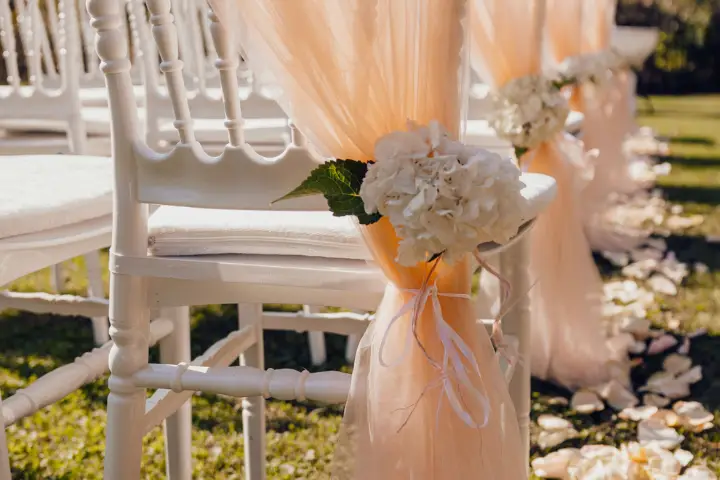 Domaine Saint Jean de Roca — photo 8