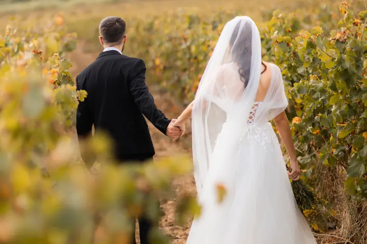 Domaine Saint Jean de Roca — photo 6