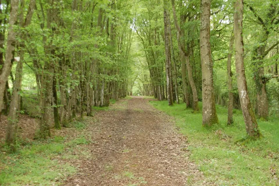 Domaine du Château de La Châsse — photo 6