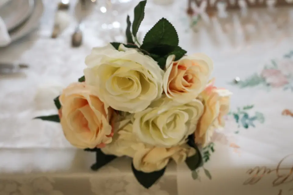 City'Var — photo 7