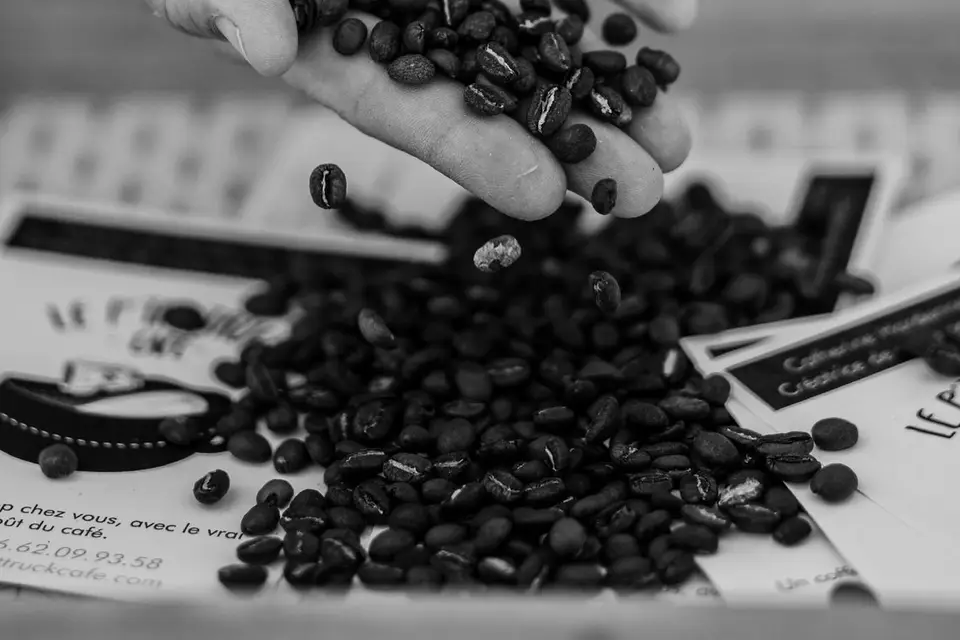 Le P'tit Truck Café — photo 2