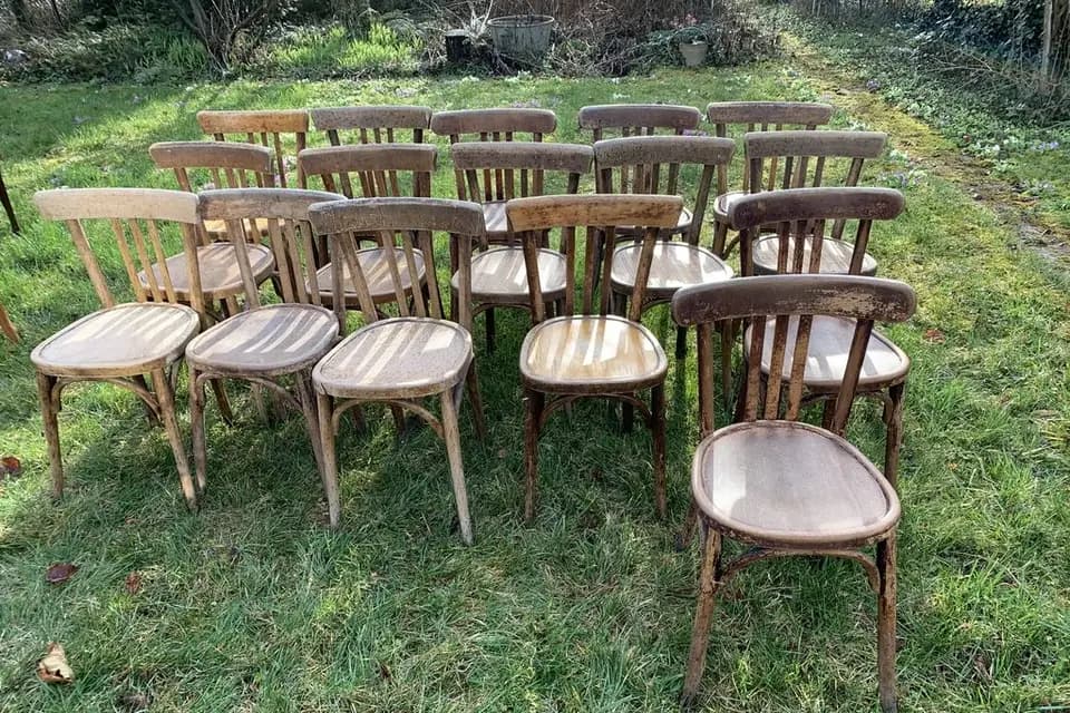 Willow Location — photo 2