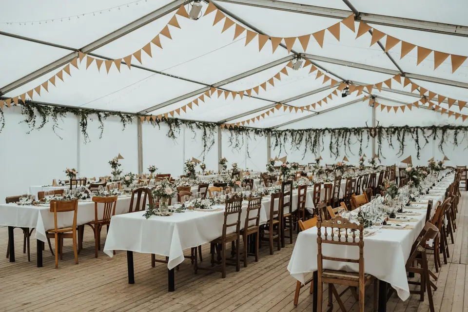 Willow Location — photo 4