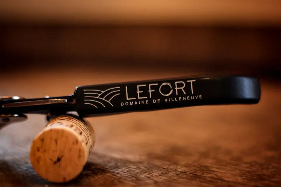 Domaine de Villeneuve — photo 2