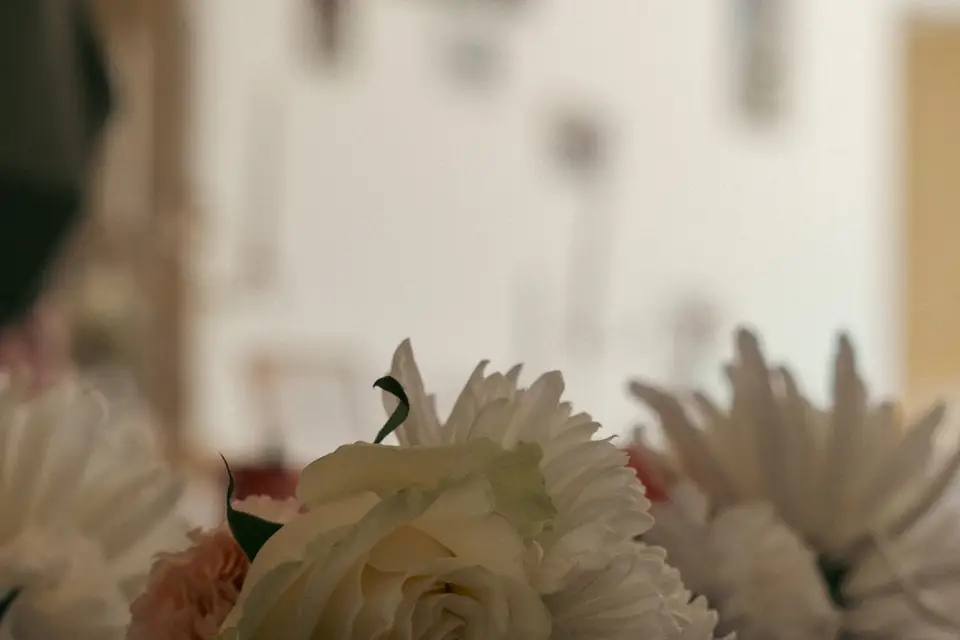 Julescqrl — photo 3