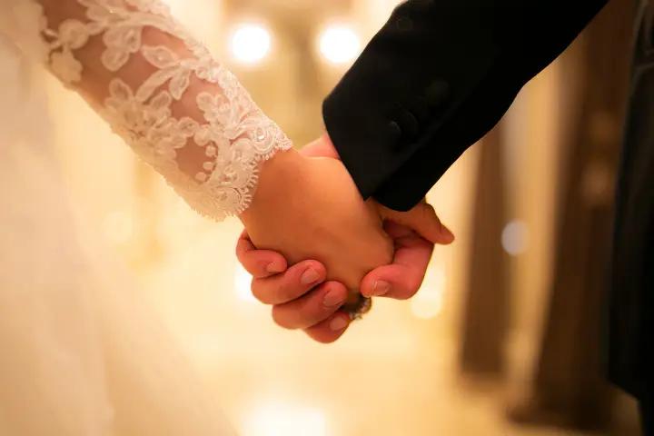 Tailor Tune — photo 6