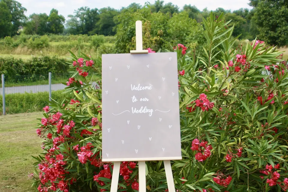 Bliss Events — photo 5