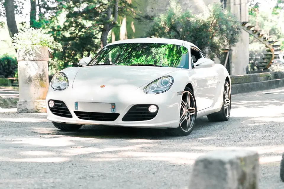 Guillaume Petit — photo 8