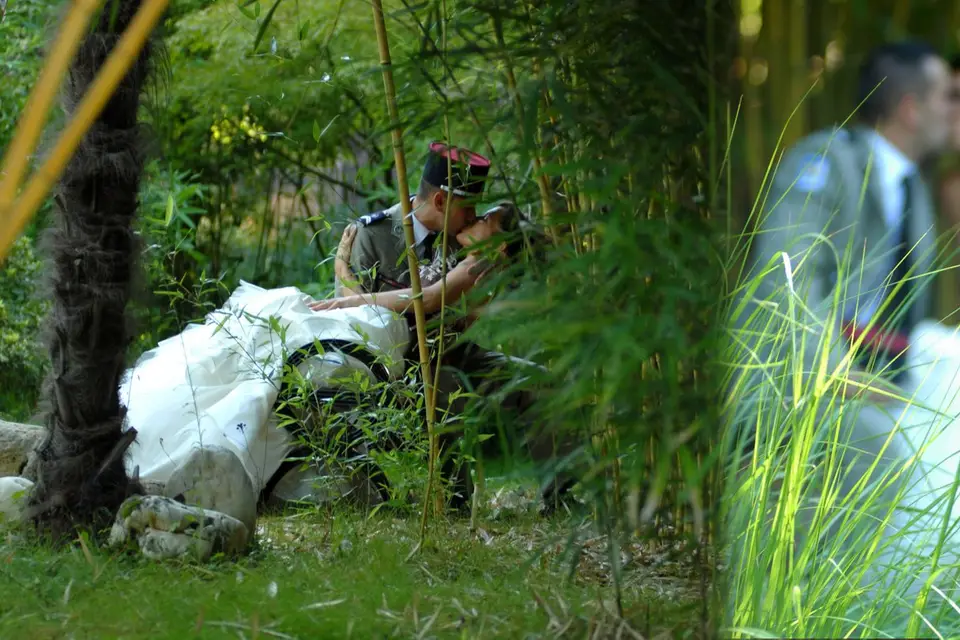 ClarKarLfoto — photo 6