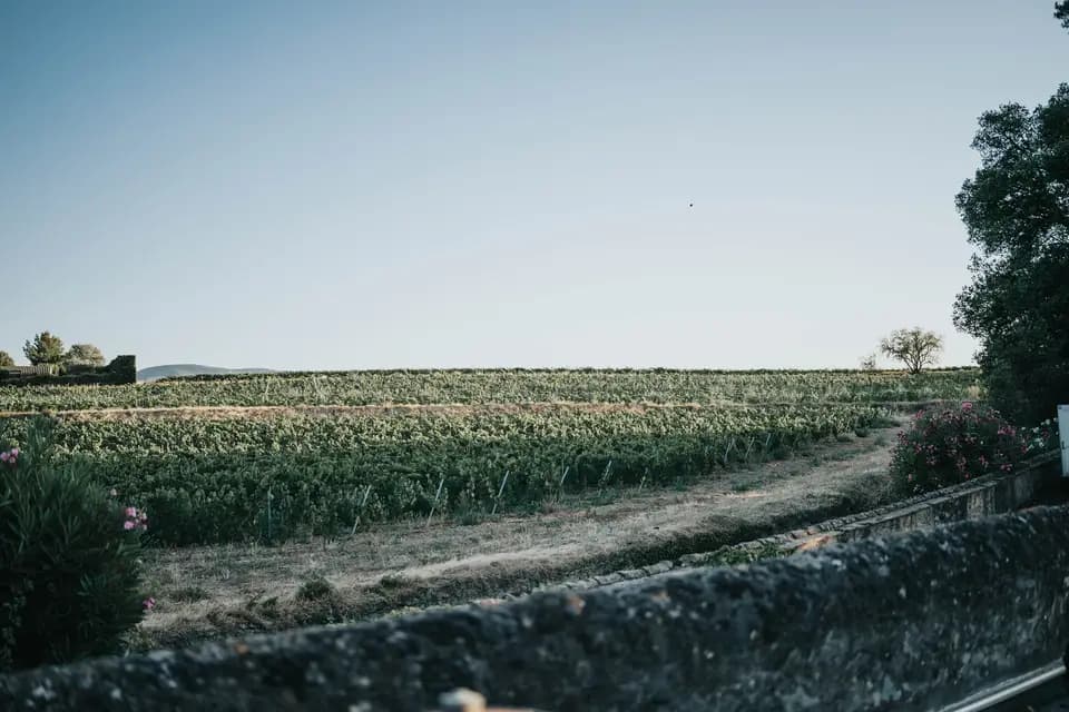 Les Vins de Montaude — photo 3