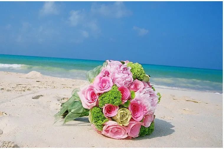 A Fleur de Peau — photo 1