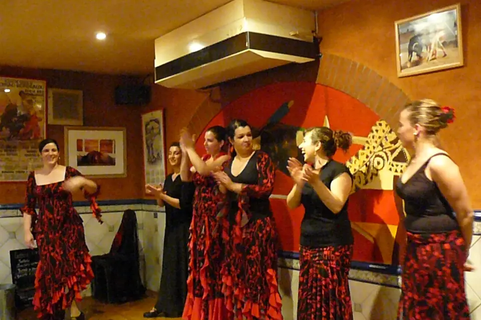 Pasión Flamenca — photo 8