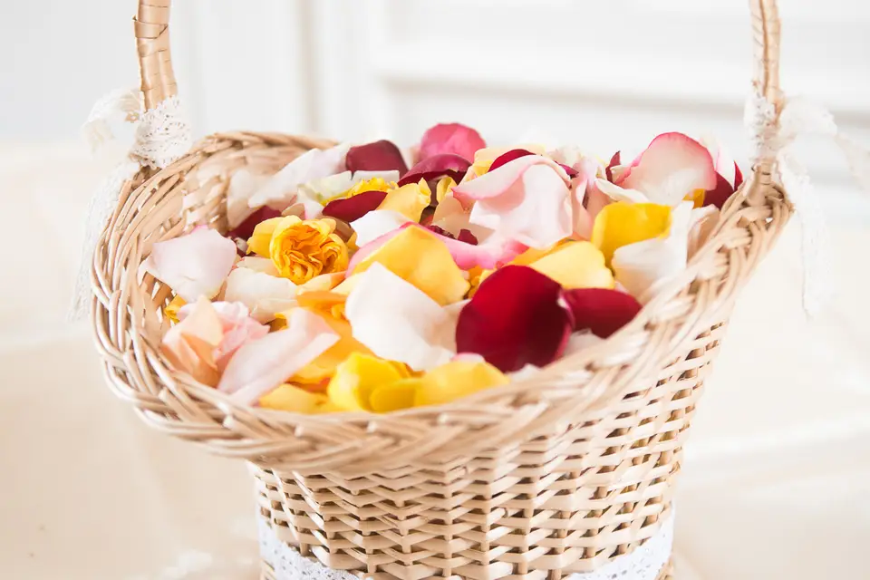 Feelarium — photo 5