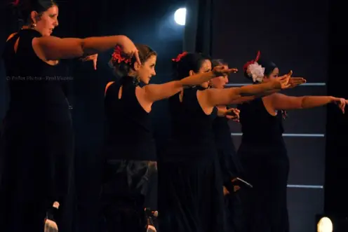 Pasión Flamenca — photo 6