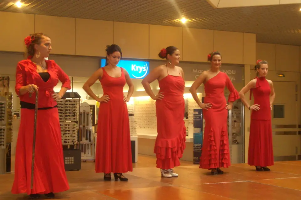 Pasión Flamenca — photo 7