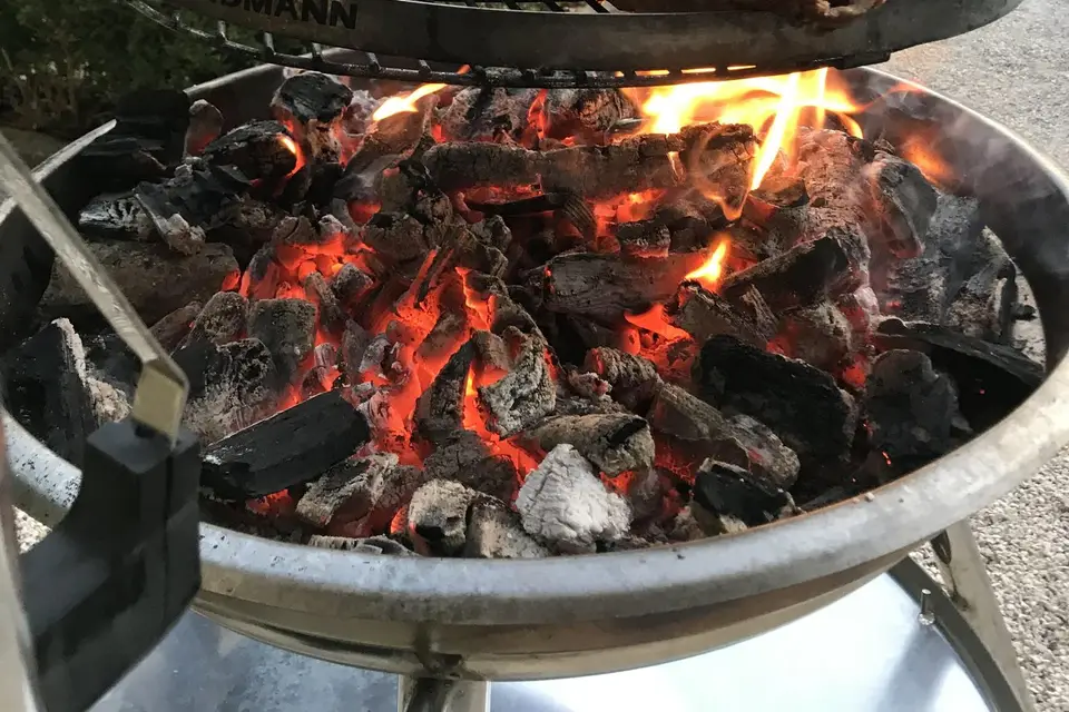 Une Histoire sans Faim — photo 7