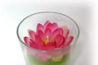 Prestanim Décoration — photo 5