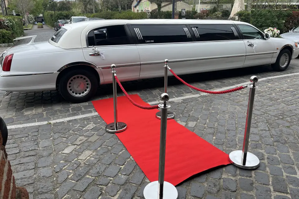 Ariège Limousine Concept — photo 1