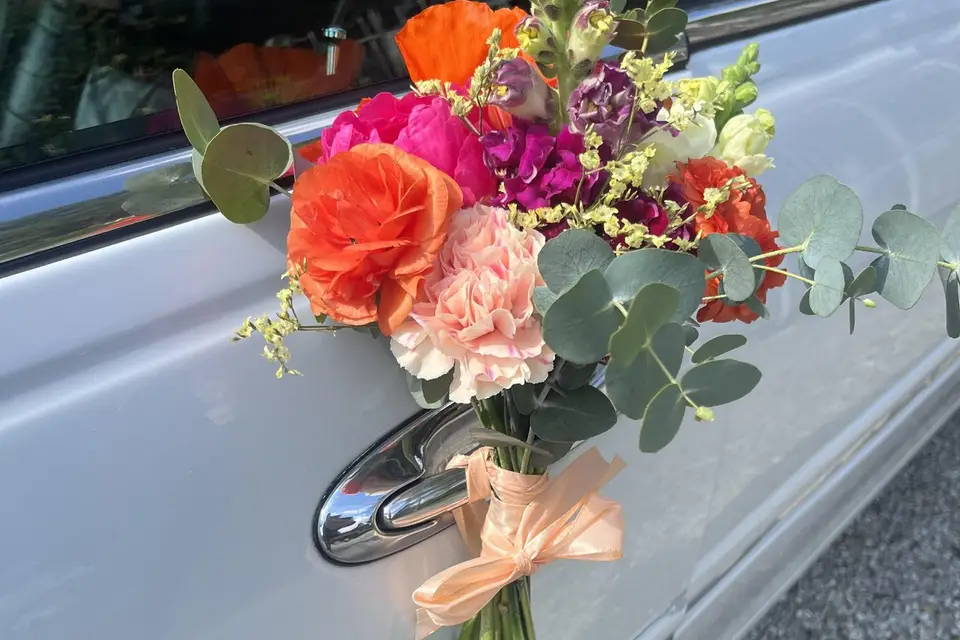 Ariège Limousine Concept — photo 7