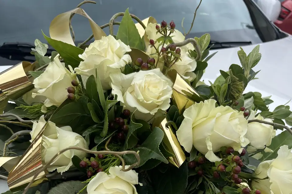 Ariège Limousine Concept — photo 6