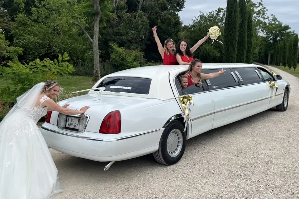 Ariège Limousine Concept — photo 2