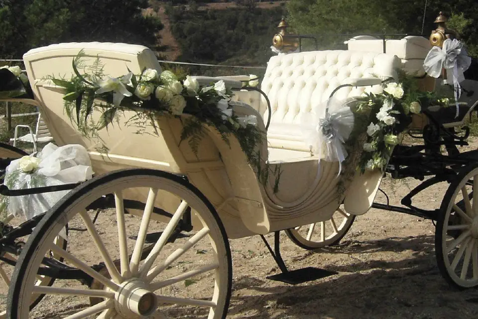 Anais Fleurs — photo 3